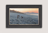 Picture of framed brown hares