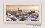 First Snow Roe Deer Canvas Print