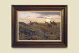 Framed picture of red deer stags at sundown in the Scottish Highlands