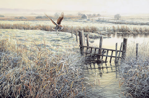 "Frosty Morning" Barn Owl Print