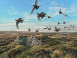 Print of flight of red grouse