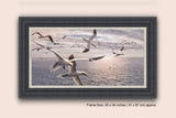 "Over the Shoal" Gannets Print