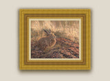 framed brown hare canvas print