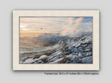 Framed print of golden eagle and mountain hare