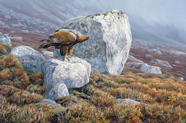Golden Eagle Print Martin Ridley Birds of Prey Picture – Aquila Art