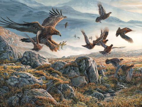 Golden Eagle and Red Grouse Print