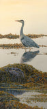 Picture of heron on shoreline at dusk