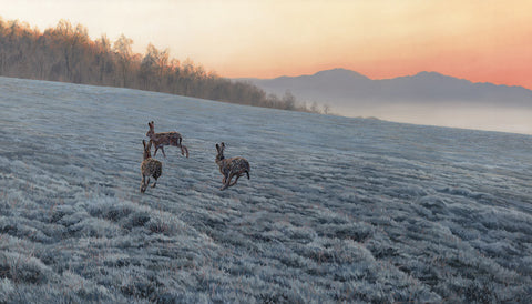 "Aberuchil Skyline" Brown Hares Print