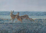 Frosty Morning Chasing Brown Hares Triptych