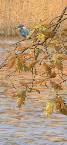 "Oak Leaves & Kingfisher" Print