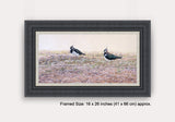 Framed picture of peewit pair