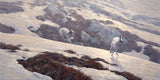 canvas print of chasing mountain hares over snow