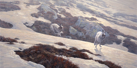 Chasing Mountain Hares Print