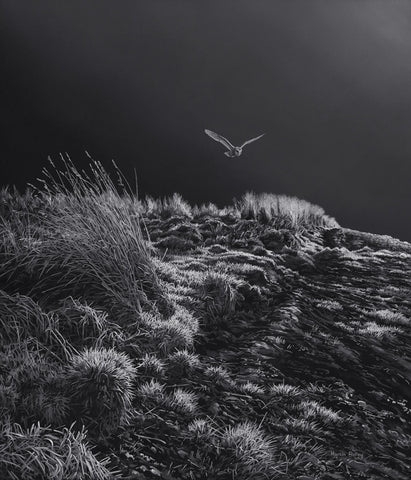 "Moonlight Hunter" Barn Owl Print