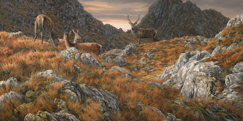"Amongst the Crags" Red Deer Print