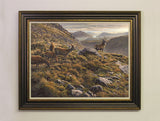Framed picture of red deer above Glen Etive Scotland