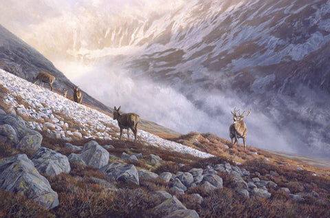 "High Screes" Red Deer Print