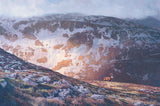 Red deer and scottish mountains print for sale