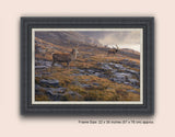 Framed picture of red deer stags in the autumn rut 