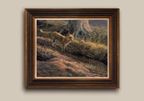 "At the Earth" Red Fox Prints
