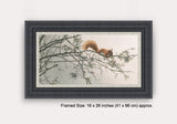 Framed picture of red squirrel