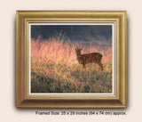 "August Meadow" Roe Buck Print