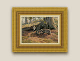 Framed badger canvas print