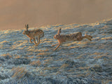 Picture of right-hand image of running hares triptych print
