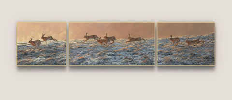 Chasing Brown Hares Triptych Print
