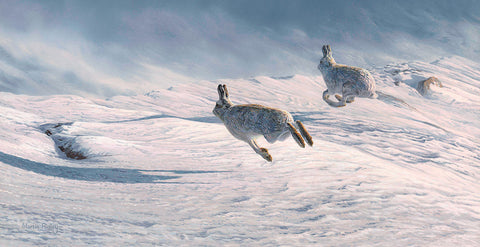 Running Blue Hares Print