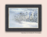 Framed picture of ravens in the mountains