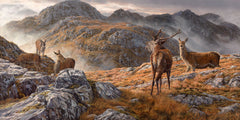 Red deer print by Martin Ridley. Druim Fada by Loch Hourn during the rutt.