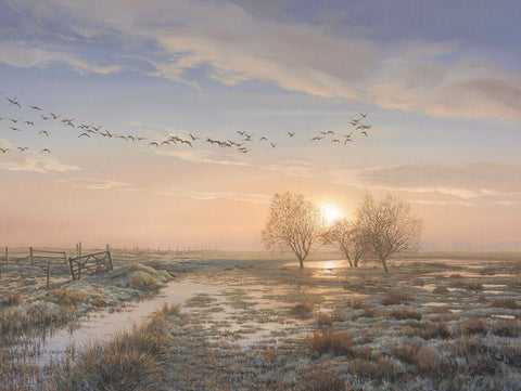 "Geese at Sunrise" Wildfowl Print