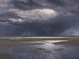 Limited Edition Print of Pink-footed Geese - Skeins of Geese, Solway Estuary by Martin Ridley