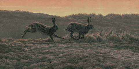 European Brown Hares Print