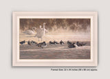 Picture of framed swans lapwing and pintail duck print