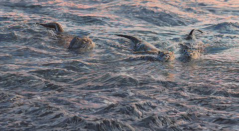 "Watchful Mother"  Swimming Otter and Cubs Print