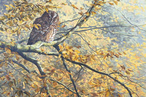 Beech Leaves & Tawny Owl Print