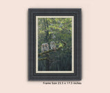 Picture of  tawny owl chicks framed