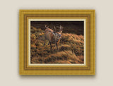 Framed red deer stage canvas print