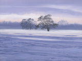 Picture of winter tree landscape