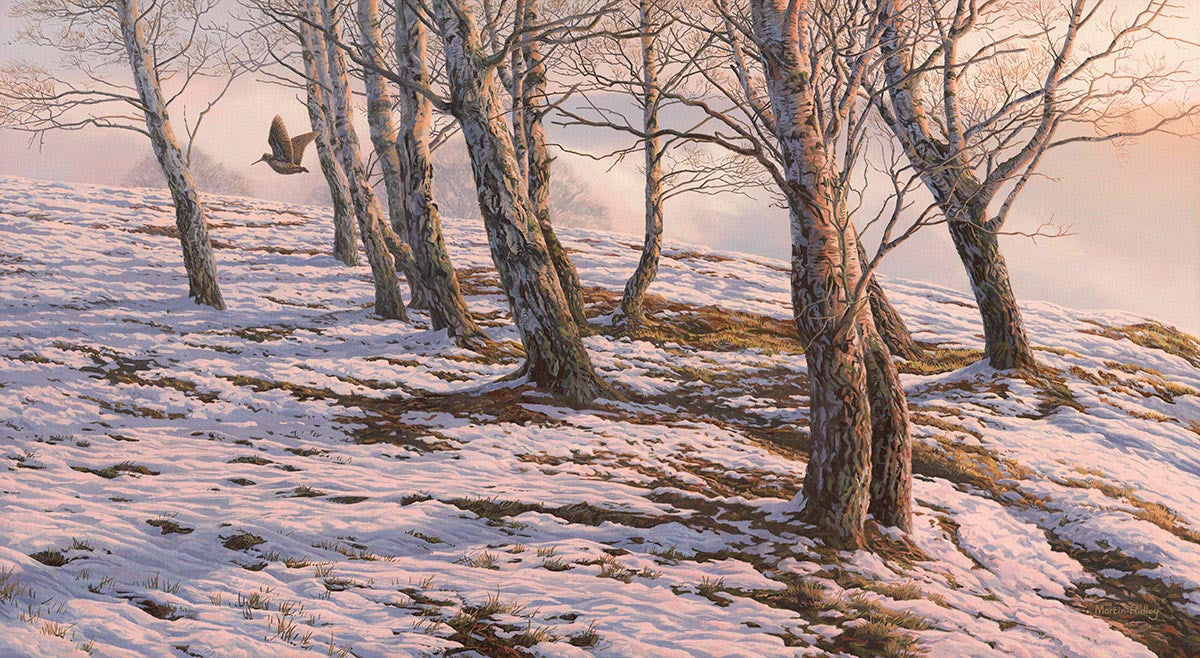 Woodcock print on canvas - "Winter Morning" Woodcock in Flight