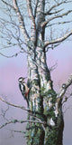 print of woodpecker on a tree