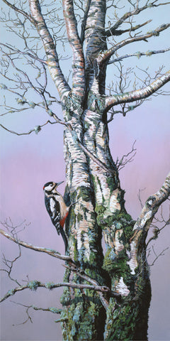 Great Spotted Woodpecker Print